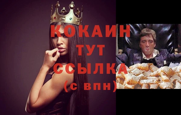 спиды Абинск