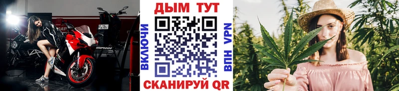 Канабис семена Мегион